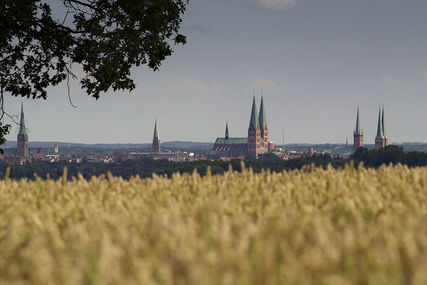 Im Vordergrund ist ein blühendes Rapsfeld zu sehen, im Hintergrund ist die Skyline mit den sieben Türmen von Lübeck zu sehen. - Copyright: Karen Meyer-Rebentisch