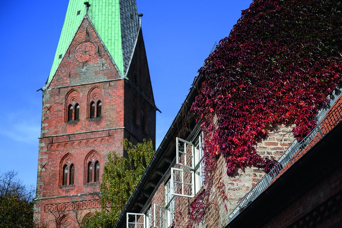 Roter Efeu rangt an einem Altstadthaus, links daneben ist ein Teil vom Turm St. Aegidien zu sehen. - Copyright: Rainer Jensen